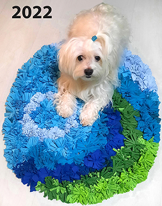 Ročno izdelana ovalna preproga iz cofov